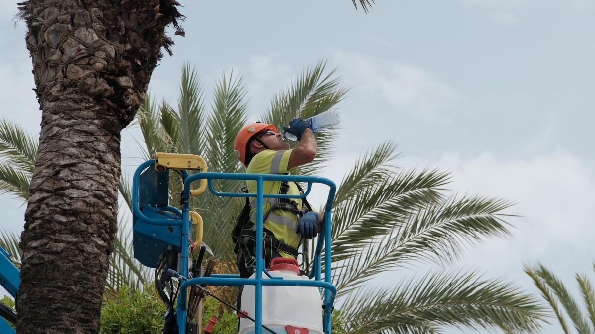 Ibiza y Formentera, atrapadas entre noches tropicales y un calor asfixiante