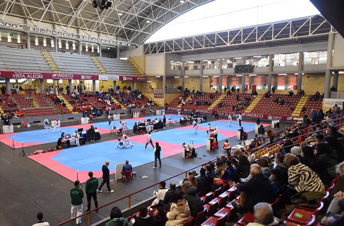 Open Internacional de Taekwondo de Córdoba en imágenes