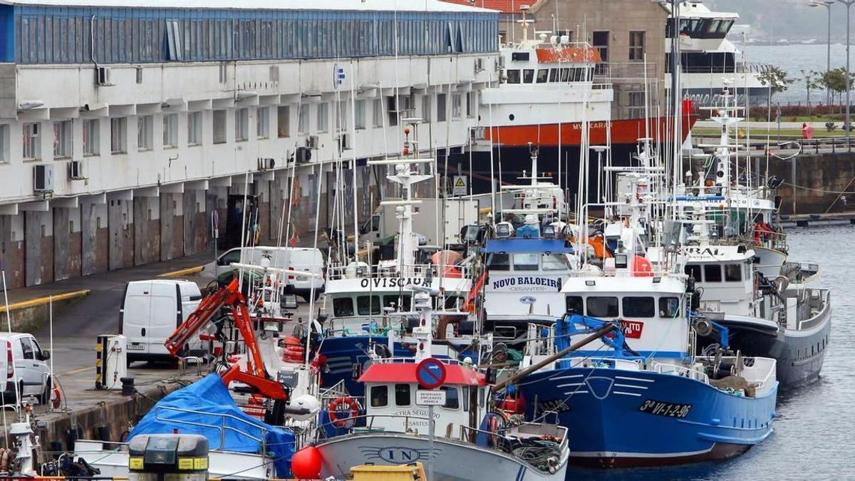 Flota cerquera, en el puerto
de O Berbés en Vigo.  | // MARTA G. BREA