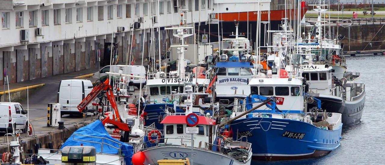 Flota cerquera, en el puerto de O Berbés en Vigo.