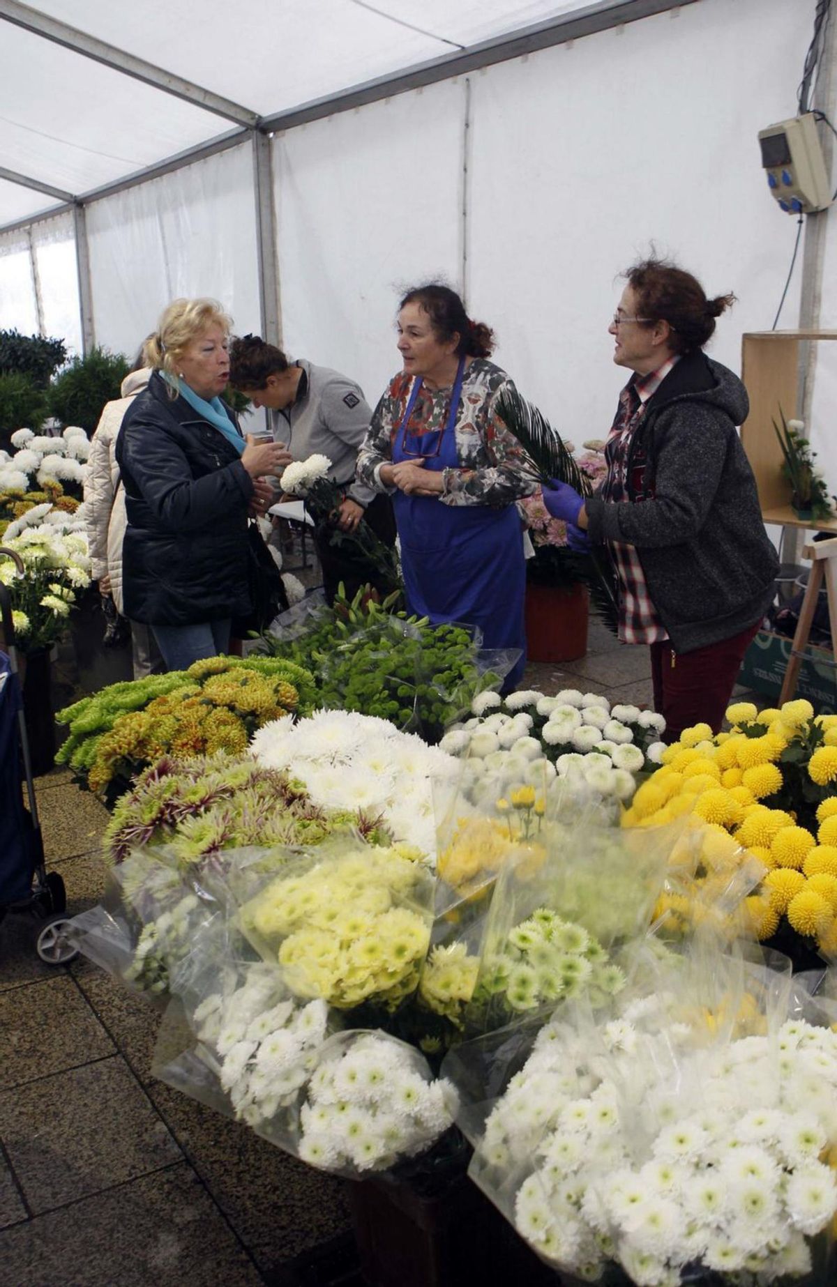 La persistente y copiosa lluvia desluce el tradicional Mercado de las Flores de Vilagarcía