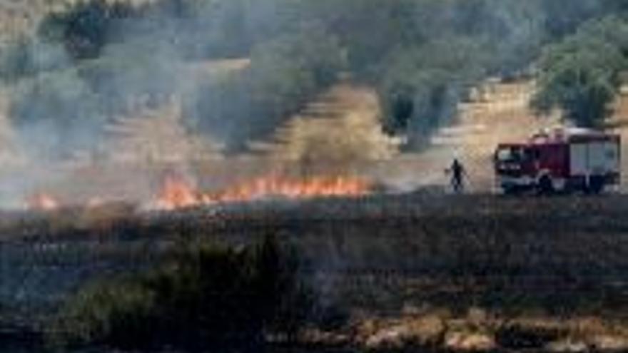Los bomberos alertan de que habrá más incendios de vegetación que en el 2005