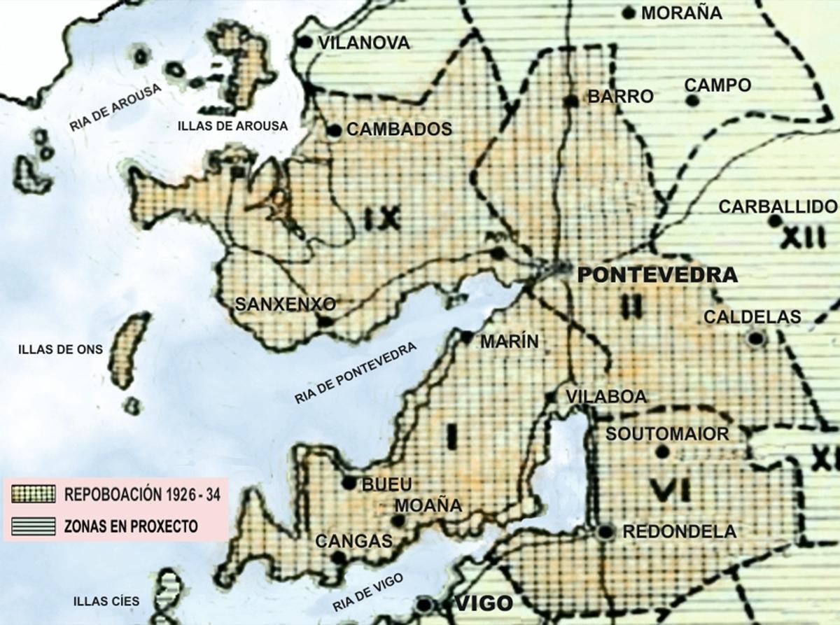 Mapa coa repoboación de piñeiro impulsada pola Deputación de Pontevedra.