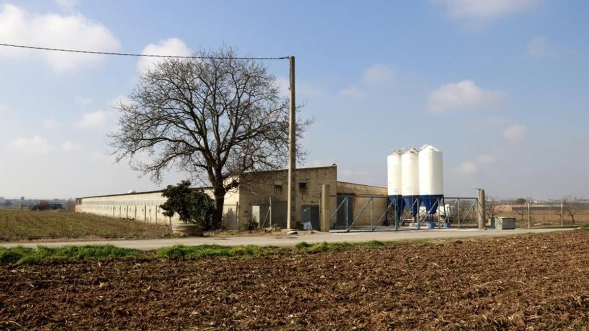 La granja de Arbeca (Les Garrigues) en la que se ha detectado el brote de gripe aviar.