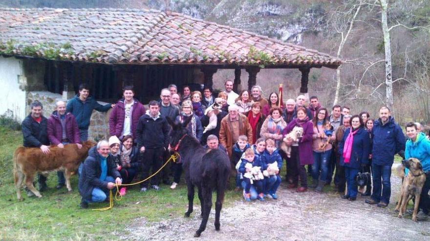 Asistentes a la fiesta de San Antón con sus animales, en Villaverde.