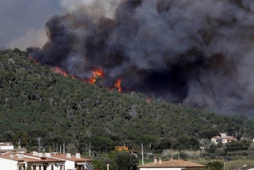 Incendi forestal a peu de les Gavarres