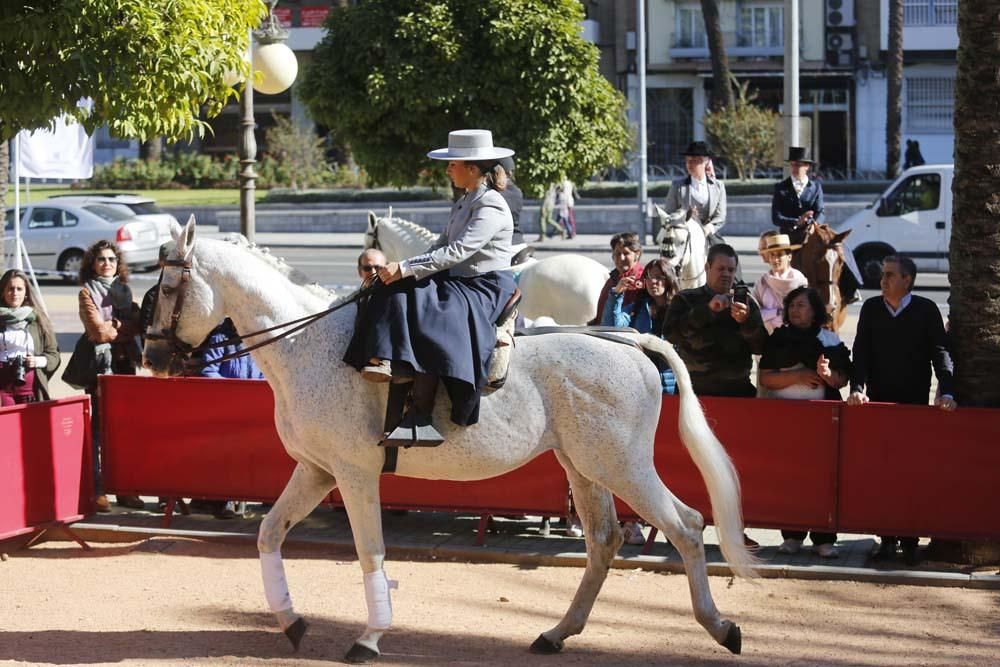 Fiesta de los oficios y tradiciones del caballo en Córdoba