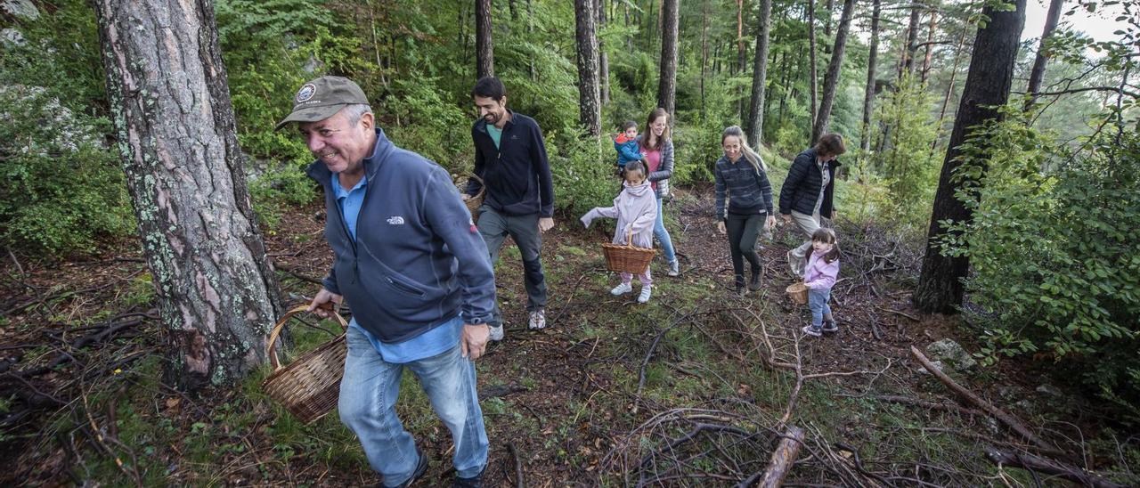 Família buscant bolets a la zona del Xalet del Catllaràs, ahir al matí | OSCAR BAYONA