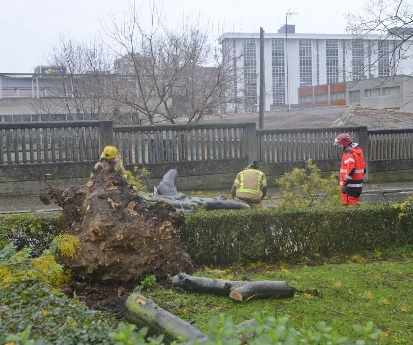 Las imágenes del temporal en A Coruña este sábado