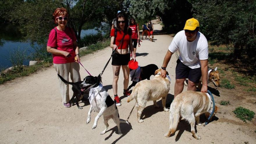 Paseo por la orilla del Duero.