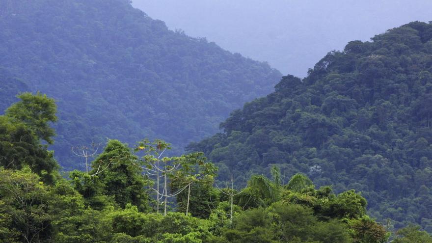 La minería de oro dificulta la recuperación del Amazonas