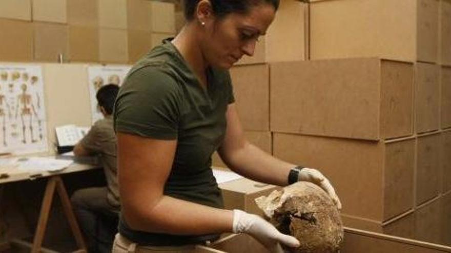 La arqueóloga Rocío Alba supervisa el proceso de catalogación que se está llevando a cabo en las instalaciones de Parcemasa.