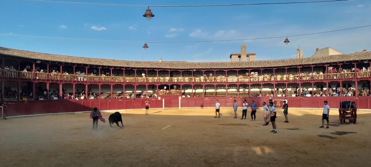 GALERÍA | La Fuente de Vino en la plaza de toros de Toro, en imágenes