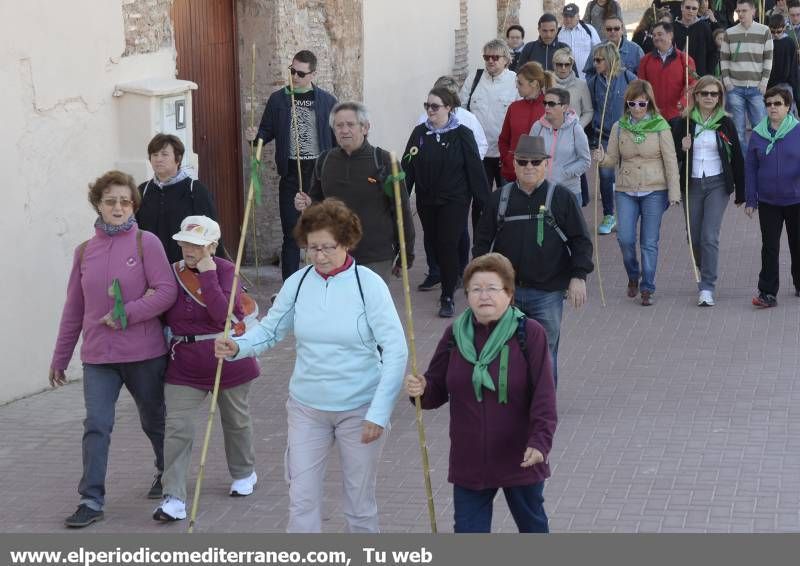 GALERÍA DE FOTOS - Romería Magdalena 2014 (2)