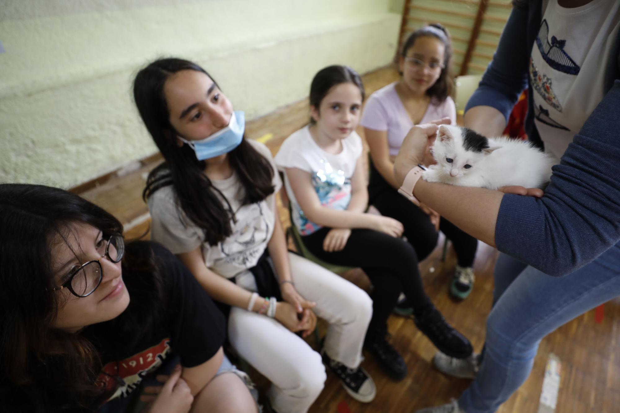 El Albergue de Animales visita a los niños del Gesta