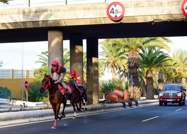 Carrera de caballos en Telde