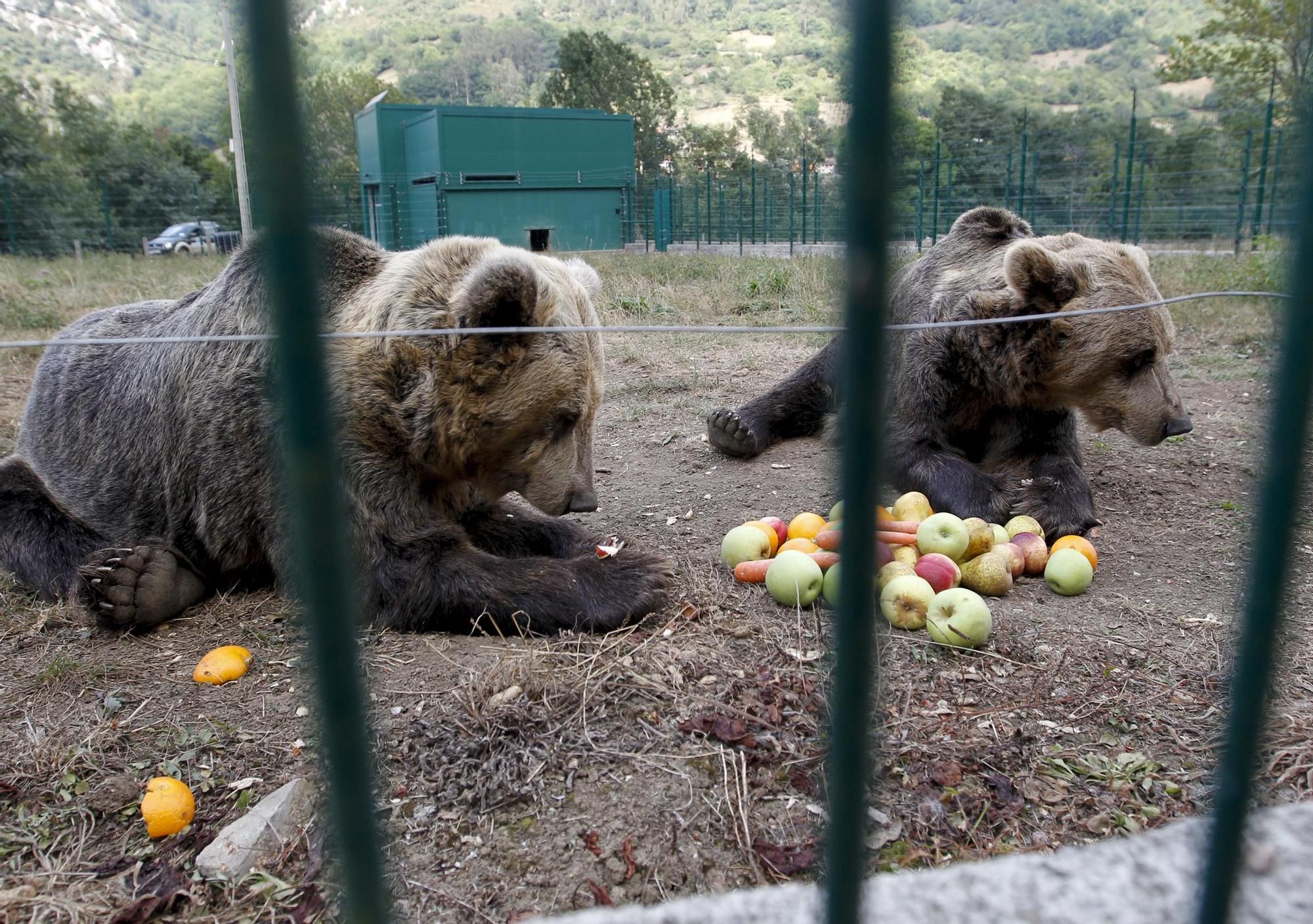 05_09_2012 23_05_00 (5106167).jpg