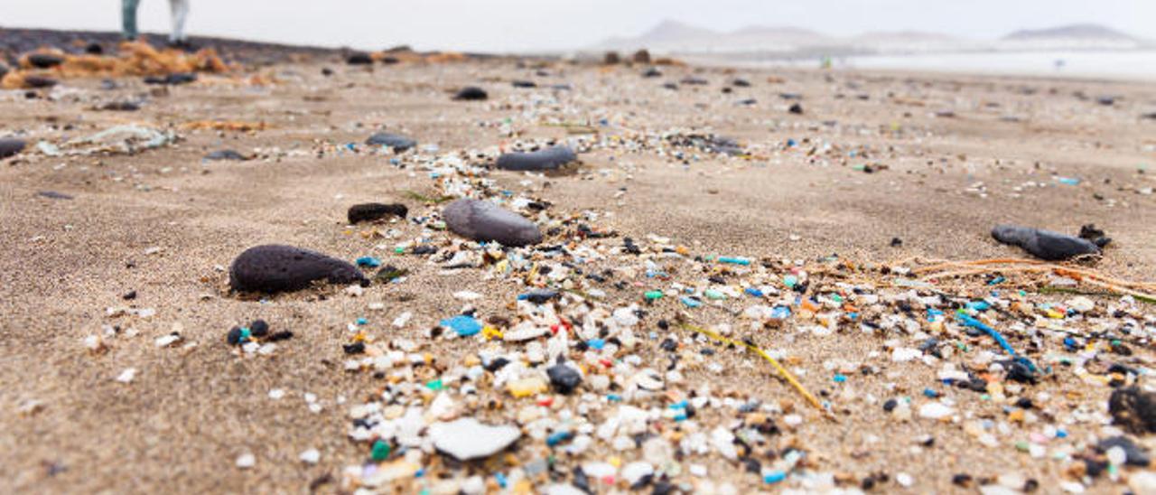 Los microplásticos llegan a Canarias cargados con 81 contaminantes