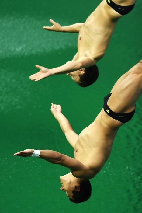 Olympic Games 2016 Diving