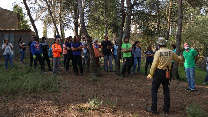 Una cinquantena de voluntaris desbrossen el bosc a Argençola dos mesos després del foc de la Conca de Barberà i l&#039;Anoia