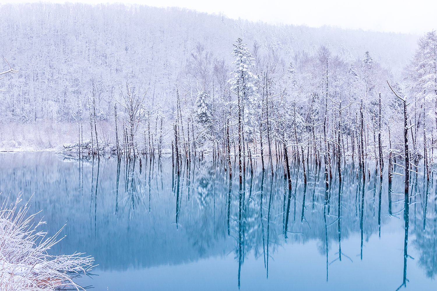 Paisaje nevado en Hokkaido
