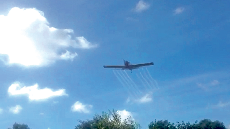 Una avioneta fumigando por distintas zonas forestales de Mallorca.