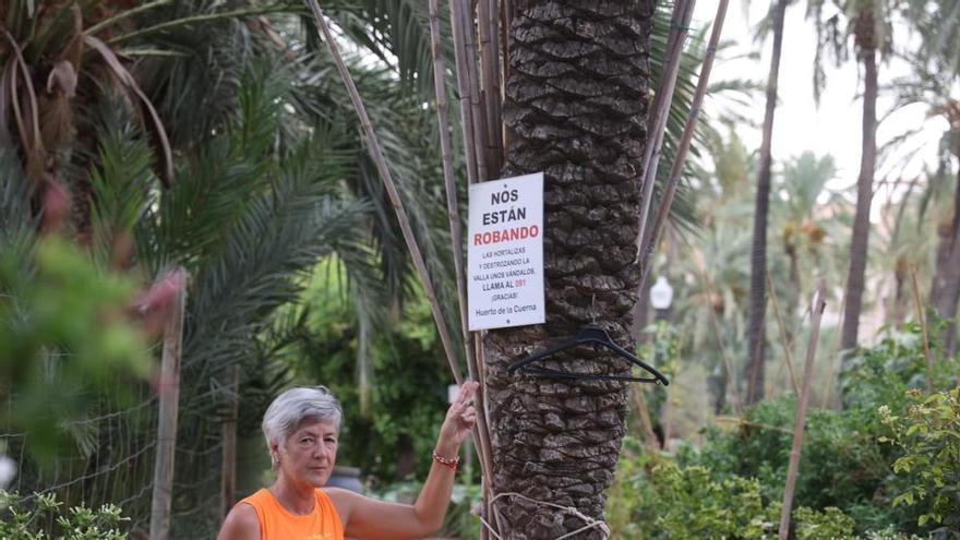 El Huerto de la Cuerna en Elche sufre robos y destrozos