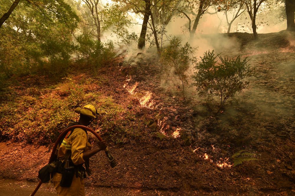 Un bombero durante la extinción de un incendio sucedido en California.