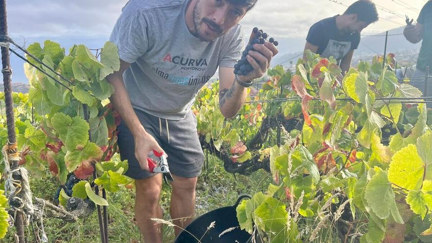 David Silva, de vendimia por Tenerife