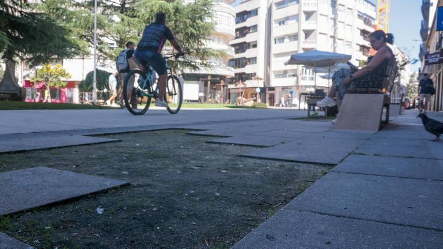 El BNG alerta de caídas en los parterres vacíos de A Independencia