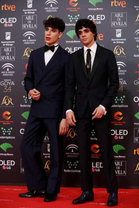 Alfombra roja de los Premios Goya 2020.