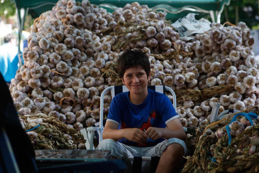 San Pedro 2016: Feria del Ajo