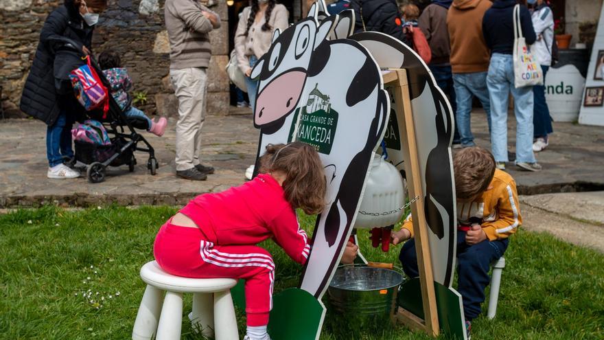 Galicia despunta en ganadería ecológica