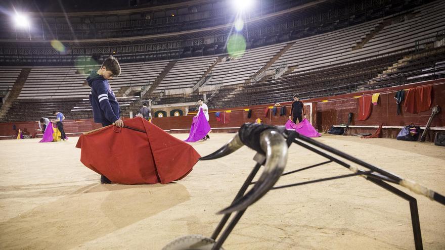 Ser torero: el milagro de una escuela de vida