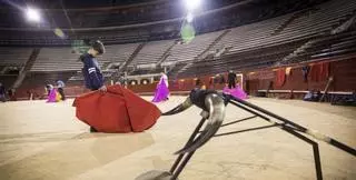 Ser torero: el milagro de una escuela de vida