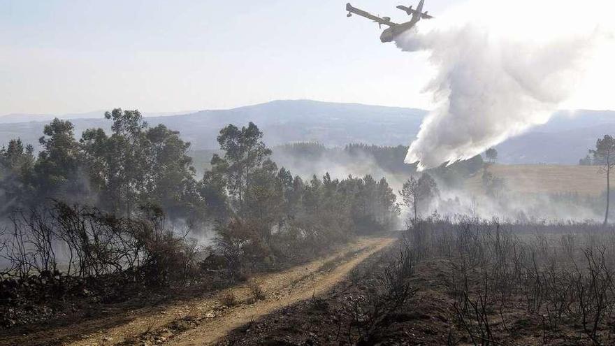 Medios aéreos durante las labores de extinción del incendio de Brántega. // Bernabé/Javier Lalín