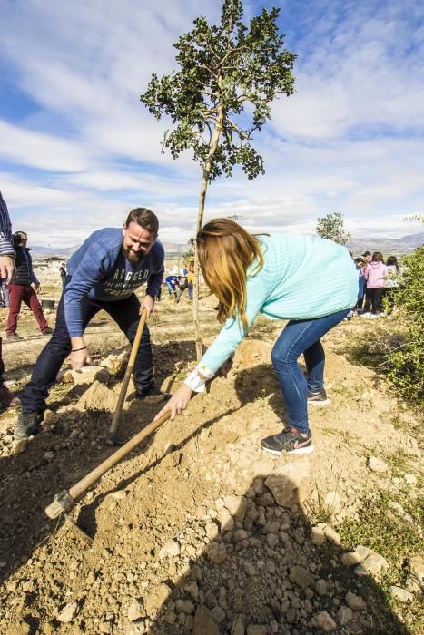 Proyecto para convertir la cantera de Cox en zona verde