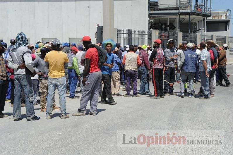 Protesta hortofrutícola en una empresa de El Raal