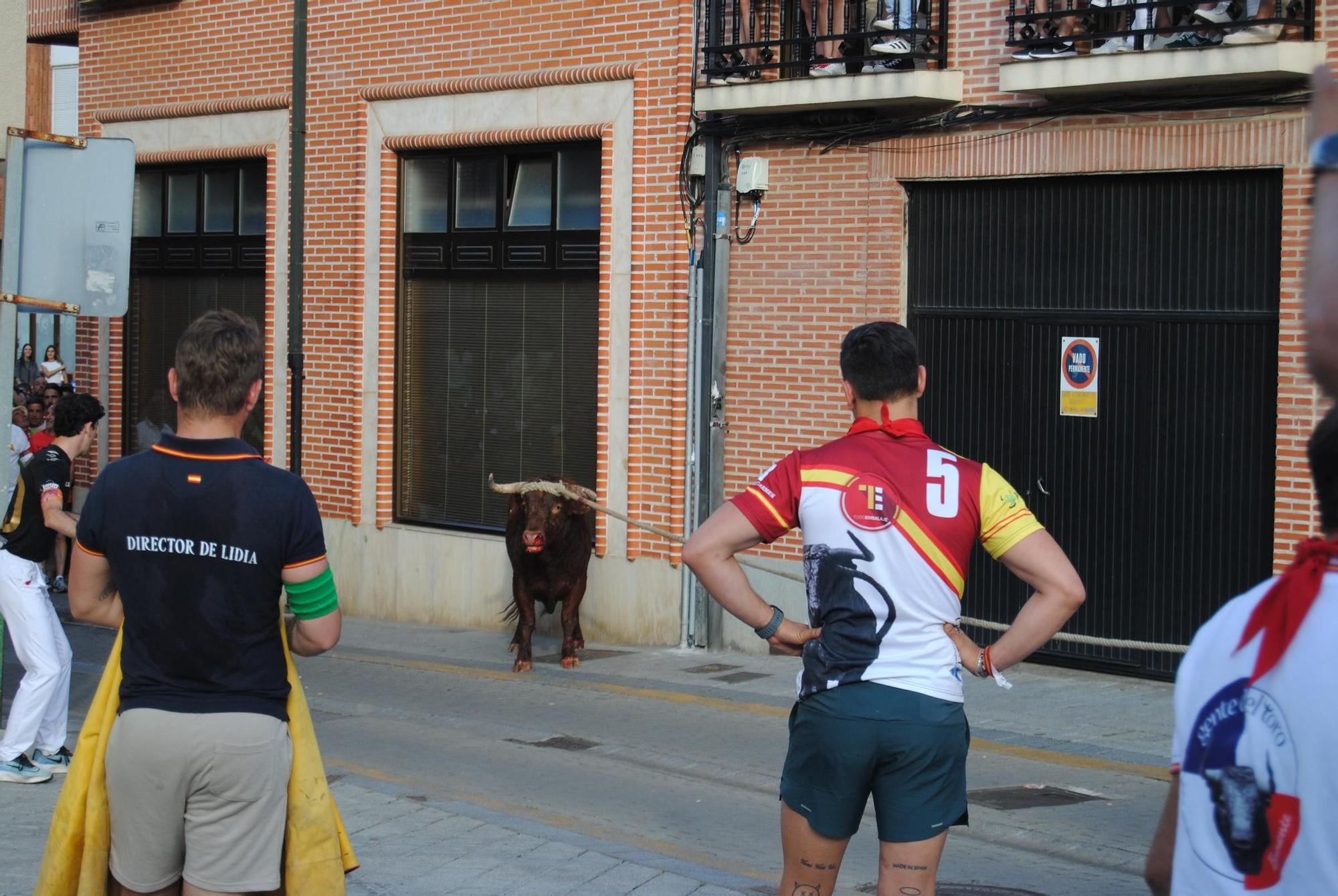 Así ha sido la carrera del torito Espléndido en Benavente