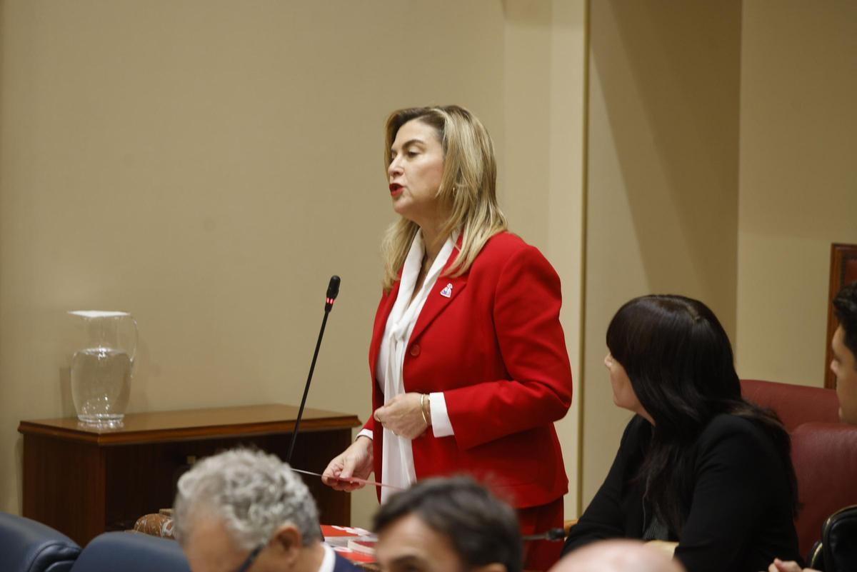 La portavoz del Grupo Parlamentario Socialista, Carmina Fernández.