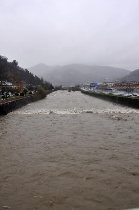 El río Caudal, crecido por las lluvias del temporal.