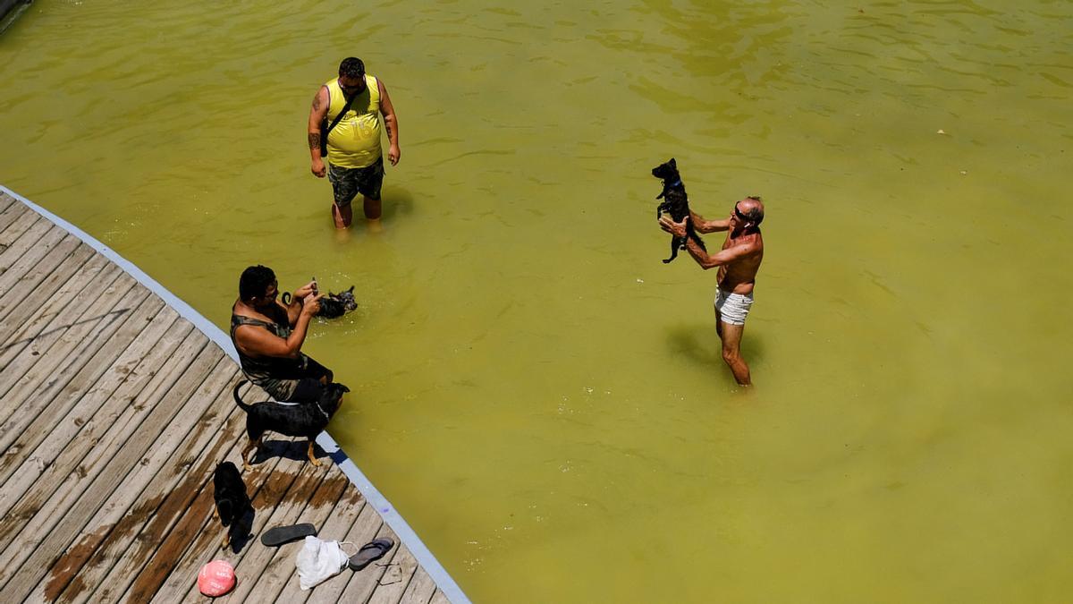 La gente se refresca con sus perros en un parque de Barcelona, mientras la ola de calor azota España, el 12 de junio de 2022