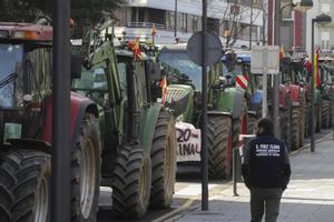 Los agricultores y ganadores continúan con tractoradas improvisadas en Zamora.