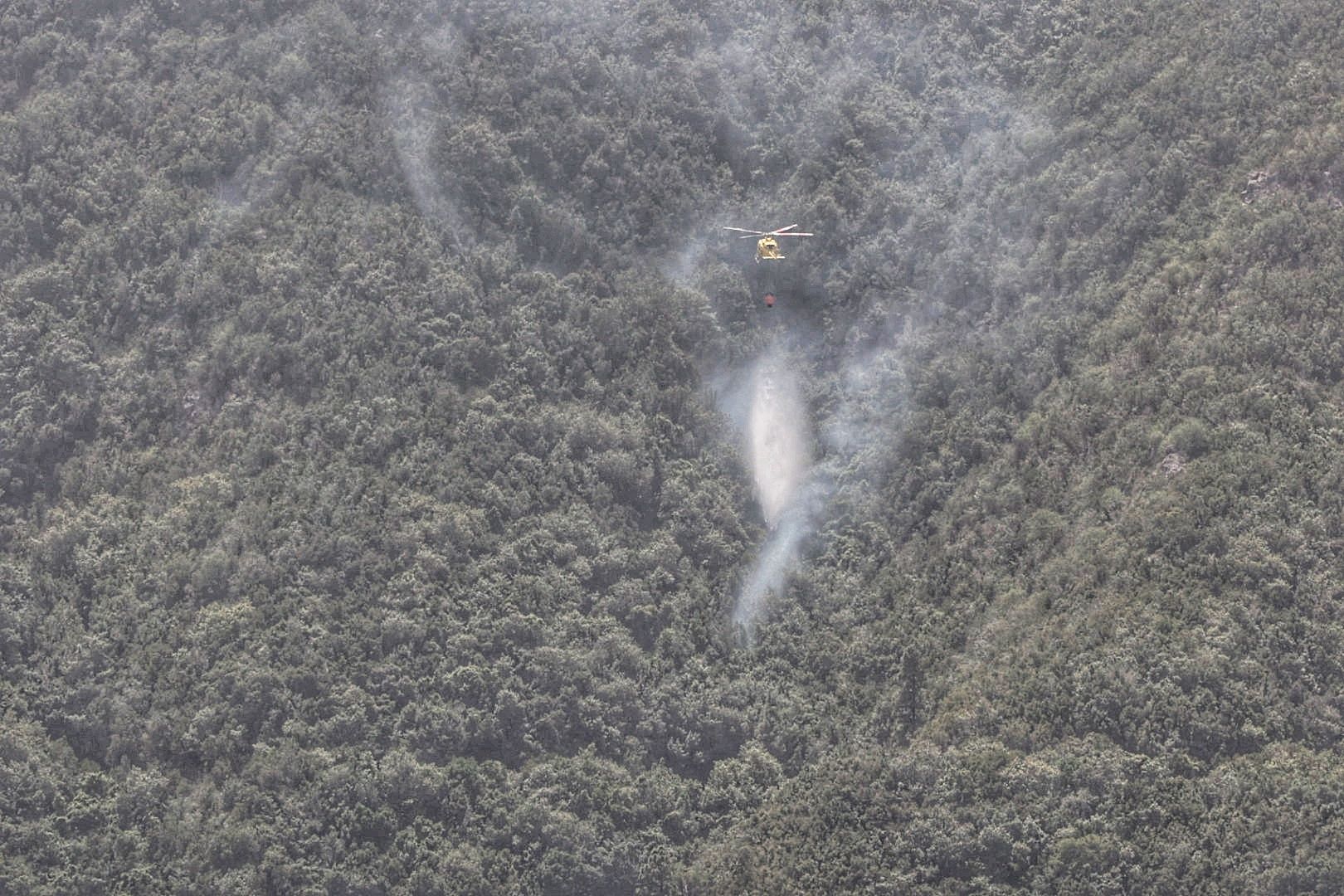 Incendio del norte de Tenerife (25/07/2022)