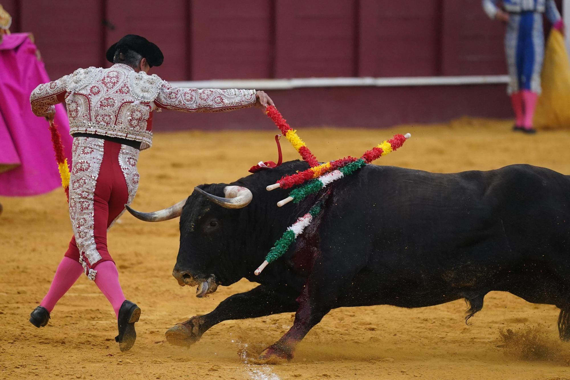 Toros en Málaga I Quinta corrida de abono de la Feria 2023