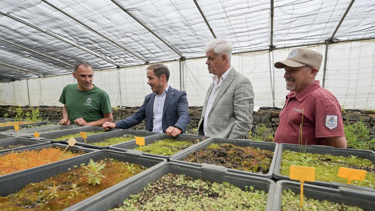 La Reserva de la Biosfera de El Hierro tendrá un banco de semillas