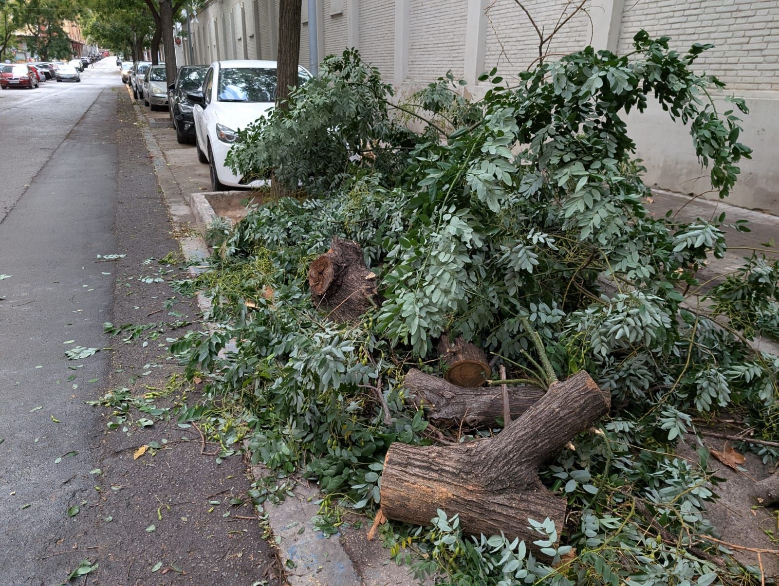 Coches abollados y árboles rotos por la granizada en Xátiva