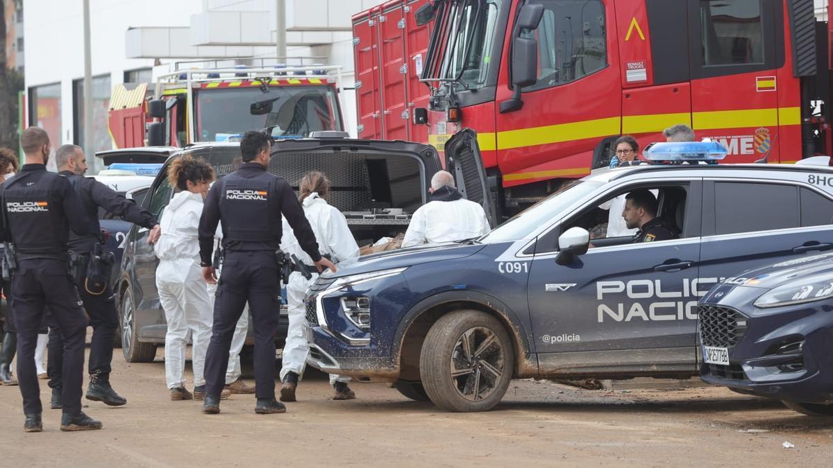 Rescatan el cadáver de la víctima 211 de la riada en Sedaví