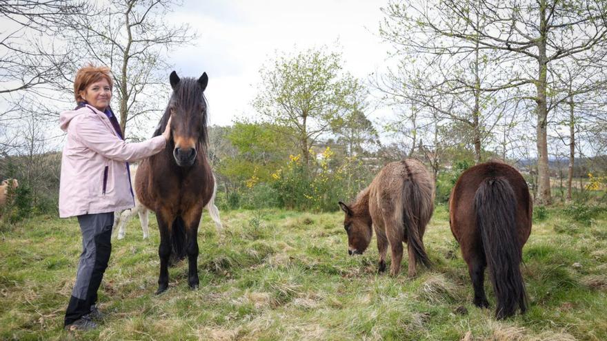 Puri Soto, con algunos de los animales en el castro de Montes Claros. | Germán Barreiros/Roller Agencia