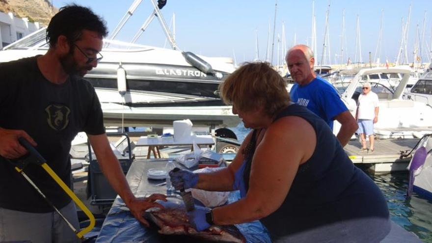 Biólogos de Málaga analizan las capturas de un concurso de pesca de Xàbia